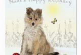 Doggie Birthday Cards Down the Lane Collection wholesale Greeting Cards and