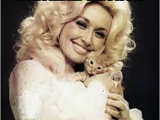 Dolly Parton Birthday Memes Sugarfoot Grits Birthday Brunch
