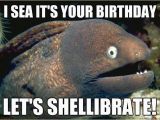 Fishing Birthday Memes Meme Page 2 Happy Birthday Brian