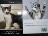 Free Printable Cat Birthday Cards Cute Cat Birthday Quotes Quotesgram