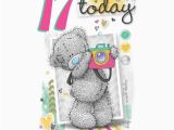 Funny 17th Birthday Cards Me to You 17 today 17th Birthday Photographer Card