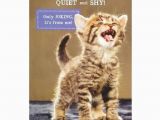Funny Birthday Cards with Cats 25 Elegant Funny Birthday Cards with Cats Mavraievie