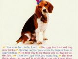 Funny Birthday Cards with Dogs All I Need From Dog Funny Humorous Birthday Card by