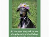 Funny Birthday Cards with Dogs Funny Dog Birthday Card Zazzle