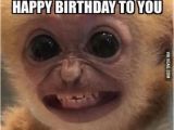 Funny Birthday Memes for Guys Best 25 Birthday Memes for Guys Ideas On Pinterest