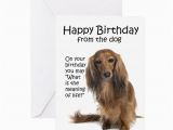 Funny Dachshund Birthday Cards Funny Dachshund Birthday Greeting Card by Shopdoggifts