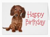 Funny Dachshund Birthday Cards Happy Birthday Dachshund Puppy Dog Card Zazzle Com