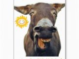 Funny Donkey Birthday Cards Donkey Spoofs 39th Birthday Cards Donkey Pinterest