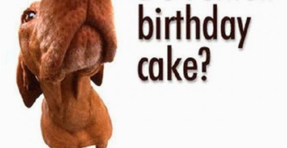 Funny Happy Birthday Pic Quotes Funny Birthday Sayings