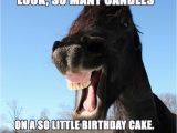Funny Horse Birthday Memes Happy Birthday Horse Meme Funny songs 2happybirthday