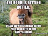 Funny Horse Birthday Memes Hilarious Birthday Wish Horse