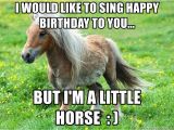 Funny Horse Birthday Memes I Would Like to Sing Happy Birthday to You but I 39 M A