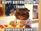 Funny Mom Birthday Meme Happy Birthday Mom Memes Wishesgreeting