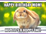 Funny Mom Birthday Memes Funny Birthday Memes for Dad Mom Brother or Sister