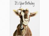 Funny Over the Hill Birthday Cards Funny Birthday Over the Hill Old Goat Humor Card Zazzle