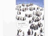 Funny Penguin Birthday Cards Unique Penguin Cartoon Funny Birthday Cards Papyrus