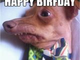 Funny Rude Birthday Memes Happy Birthday Meme Rude Pictures Really Funny Pictures