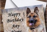 German Shepherd Birthday Cards German Shepherd Dog Personalised Birthday Card the Card Zoo