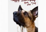 German Shepherd Birthday Cards German Shepherd Fromthedog1 Greeting Card Zazzle