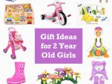 Gifts for 2 Year Old Birthday Girl 15 Gift Ideas for 2 Year Old Girls 2016 Hobson Homestead