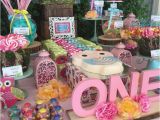 Girl Owl Birthday Decorations 73 Best Christening First Birthday Images On Pinterest