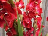 Gladiolus Birthday Flowers I 39 M so Gladiolus that You Were Born August Birthday