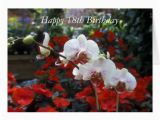 Happy 18th Birthday Flowers Happy 18th Birthday Flower Card Zazzle