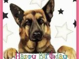 Happy Birthday Card In German Happy Birthday Wishes with German Shepherd