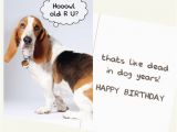 Happy Birthday Cards Dog Lovers Howl Old are You Greeting Card