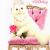 Happy Birthday Cards with Cats Princess Pussy Cat Happy Birthday Greeting Card Cards