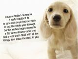 Happy Birthday Cards with Dogs Dog Birthday Quotes Quotesgram