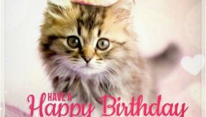 Happy Birthday Cat Quotes Best Happy Birthday Cat Meme