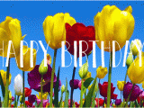 Happy Birthday Flowers Animated Designer Happy Birthday Gifs to Send to Friends