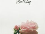 Happy Birthday Flowers for A Friend 115 Best Happy Birthday Flower Images On Pinterest
