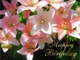 Happy Birthday Flowers for A Man Happy Birthday Pyl Dyxum