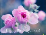 Happy Birthday Flowers for Mom Happy Birthday Images