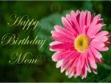 Happy Birthday Flowers for Mom Happy Birthday Wishes for Mother Page 32