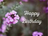 Happy Birthday Flowers Graphics Floral Wishes Ecards Free Birthday Images with Flowers