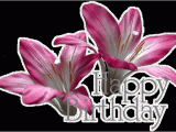 Happy Birthday Flowers Graphics Happy Birthday Flowers Myspace Friendster and Facebook