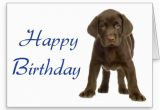 Happy Birthday for Dogs Quotes Happy Birthday Quotes From Dogs Quotesgram