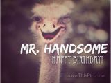 Happy Birthday Handsome Quotes Happy Birthday Mr Handsome Clip Art Quot Happy Birthday