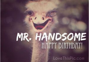 Happy Birthday Handsome Quotes Happy Birthday Mr Handsome Clip Art Quot Happy Birthday