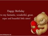 Happy Birthday Lil Sis Quotes Funny Sister Quotes Happy Birthday Quotes for Younger
