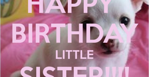 Happy Birthday Lil Sis Quotes Happy Birthday Little Sister Quotes Quotesgram