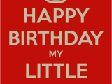 Happy Birthday Lil Sis Quotes Little Sister Quotes Funny Quotesgram