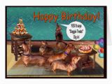 Happy Birthday Meme Dachshund An Unplanned Dachshund Birthday Party Card Zazzle