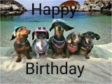 Happy Birthday Meme Dachshund Best 25 Funny Birthday Card Messages Ideas On Pinterest