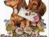 Happy Birthday Meme Dachshund Birthday Birthday Dachs Pinterest Birthdays