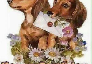 Happy Birthday Meme Dachshund Birthday Birthday Dachs Pinterest Birthdays