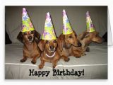 Happy Birthday Meme Dachshund Dachshund Birthday Meme Google Search Birthday Cards